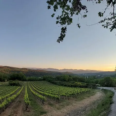 Vue De Rennes-le-chateau *